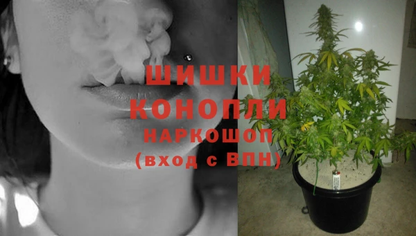 СК Вяземский