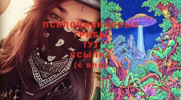 СК Вяземский